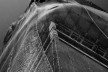 Véus. Exposição de fotografias de Thales Leite
