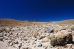 São Pedro do Atacama, Chile<br />Foto José Carvalho Góes 