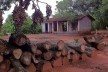 Sítio Laranjal, área rural, Araraquara<br />Foto Abilio Guerra 