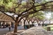 Campus da Universidade de Pretoria<br />Foto Maria Fernanda Derntl 