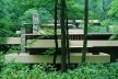 Fallingwater, arquitecto Frank Lloyd Wright