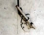 Fig. 9 – Detalle del mecanismo de giro de las lamas<br />Foto Francisco J. Martínez 