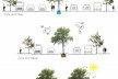Parque linear elemento democrático<br />Imagem divulgação 