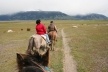 Paisagem desolada <br />Foto Thomas Bussius 