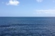 Atlantic Ocean<br />Photo Inês Vieira Rodrigues 