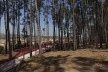 Parque Alberto Simões, Pedro Paes y Eugénio Filipe Teixeira, São José dos Campos <br />Foto divulgação 