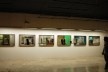 Enxertos, instalação artística de Carlos Teixeira, Fernando Maculan e Leonardo Costa Braga<br />Foto divulgação 
