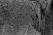 Ensaio fotográfico. Roma, 80x120cm <br />Ensaio fotográfico Cristiano Mascaro 