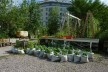 Pequeno jardim Prinzessinnengarten no coração de Berlim. <br />Foto Cecilia Herzog 