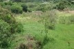 Urban park in University City Allotment, area after planting trees<br />Photo authors 