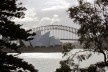 Ópera de Sydney, Jörn Utzon<br />Foto Gabriela Celani 