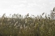 Mostra "Ao vento"<br />Foto Adriana Rosset 