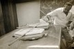 Arquiteto Sérgio Bernardes com maquete em seu escritório<br />Foto divulgação  [documentário <i>Bernardes</i>]