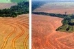 Desmatamento ilegal para plantação de soja em Novo Progresso, Pará.<br />Foto Alberto César.  [Greenpeace]