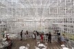 Pavilhão Serpentine. Sou Fujimoto, 2013<br />Foto Eduardo Pierrotti Rossetti 