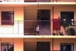 Vilinha 25 de janeiro – tipo B, detalhe<br />Foto divulgação  [Arquivo pessoal da autora]