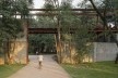 Parque da Juventude, São Paulo, paisagismo arquiteta Rosa Kliass<br />Foto Nelson Kon 