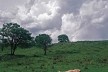 Fotografia do livro “Caminhando com Portinari”<br />Foto Alan Nielsen  [divulgação]