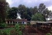 Sítio Laranjal, área rural, Araraquara<br />Foto Abilio Guerra 