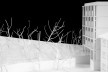 A torre e a mata. Maquete de trabalho<br />Foto Laura Castro Caldas & Paulo Cintra 