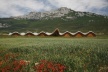 Bodegas Ysios, Laguardia, arq. Santiago Calatrava<br />Foto Nelson Kon 
