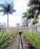 Jardim do hospital, córrego<br />Foto atual de Alexandre Pessoa 