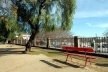 Jardim Público <br />Foto Junancy Wanderley 