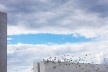 Praça dos Três Poderes<br />Foto Ana Altberg 