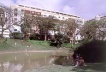 <br />Foto Nelson Kon 