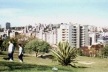 A fragmentação extraordinária do bairro Bela Vista, em Porto Alegre<br />Foto Lais Corteletti 