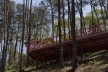 Parque Alberto Simões, Pedro Paes y Eugénio Filipe Teixeira, São José dos Campos <br />Foto divulgação 