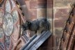 Quimera na fachada da Catedral de Notre-Dame de Strassbourg<br />Foto Victor Hugo Mori 
