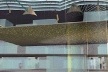 Projeto para centro transfuncional em Sao Paulo, 1998-1999 [Emanuel Dimas de Melo Pimenta c. ASA Art and Technology (UK), 2001]