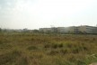 Área de intervenção. Parque CECAP Guarulhos. TFG Thiago Bergamini Silva.<br />divulgação 
