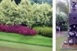 O jardim / a obra "Boxhead", de Paul McCarthy <br />Foto Denise Teixeira 