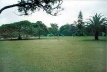Praça com massa de vegetação ao fundo. Parque do Ibirapuera<br />Foto Wesley Macedo, 2004 