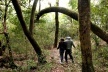 Trilha que leva ao salto<br />Foto Juliana Falchetti 