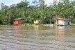 Algumas moradias integrantes do projeto Street River na Ilha do Combu<br />Foto Will Montenegro Teixeira 