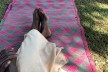 Cenas do vilarejo de Kikajjo, Kampala, Uganda<br />Foto Mariana Montag 