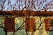 Fachada de uma residência em Derrubadas RS <br />Foto Juliana Falchetti 