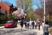Toronto, Caminhada Guiada “Revitalization or displacement? A critical look at the idea of mixed neighbourhoods”<br />Foto Denise Fernandes Geribello 
