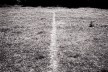 A line made by walking, Richard Long, 1967