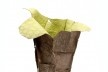 Waste basket, untitled, 2008<br />Foto Fernando Laszlo  [© Estudio Campana]