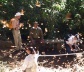 Mexicanos no "Santuário de la maripoza monarca"<br />Foto Sandra Barone 