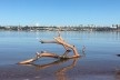 Tronco, lago e cidade ao fundo, 2018<br />Foto Sergio Jatobá 