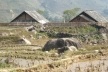 Sapa, Vale Muong Hoa, desnível <br />Foto Lucia Maria Borges de Oliveira 
