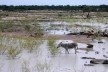 Remanso, área próxima ao Lago de Sobradinho alagada pelas chuvas<br />Foto Sanane Sampaio 