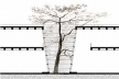 Arborização<br />Imagem dos autores do projeto 