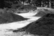 Pilhas de composto organizadas com a colaboração de artistas ambientais e a equipe de manutenção<br />Foto Michael Boland 