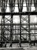 Masp em construção [Acervo Instituto P.M. e Lina Bo Bardi]